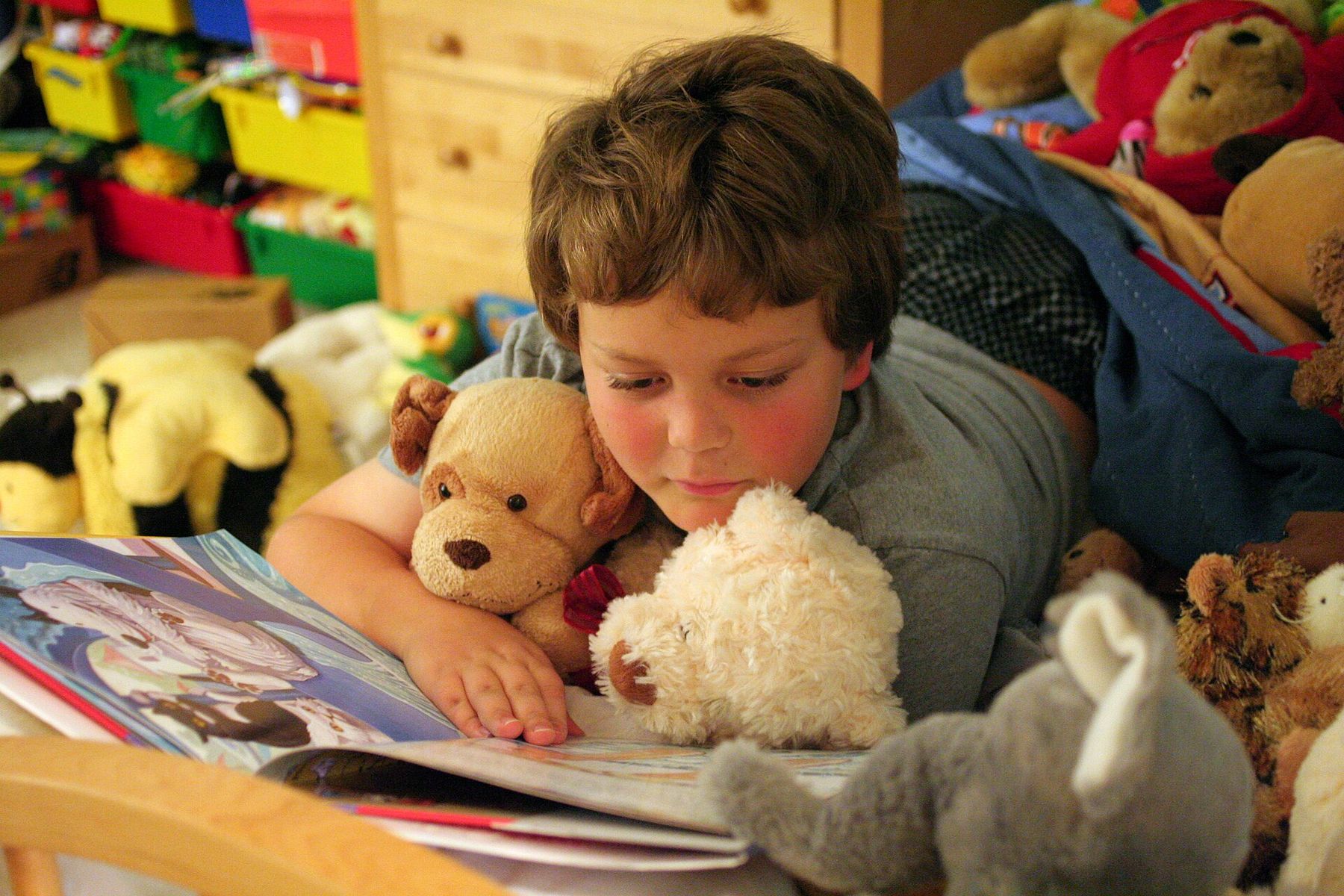 A boy reading a book surrounded by his plush toys